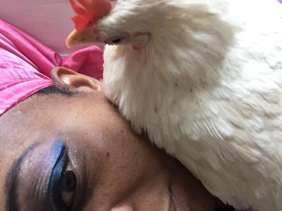 Everyday her favorite place was my neck so we could watch tv together. Go with God my Daughter  Everyday her favorite place was my neck so we could watch tv together. Go with God my Daughter