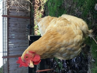 What are you lookin’ at? What are you lookin’ at?