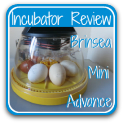 If you want to compare the homemade incubator with commercially 