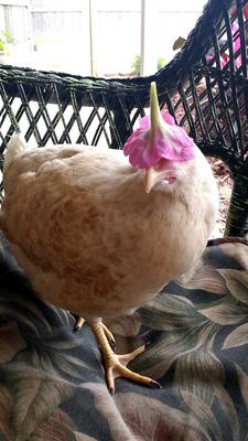 Franny always let me do silly things for pictures Franny always let me do silly things for pictures