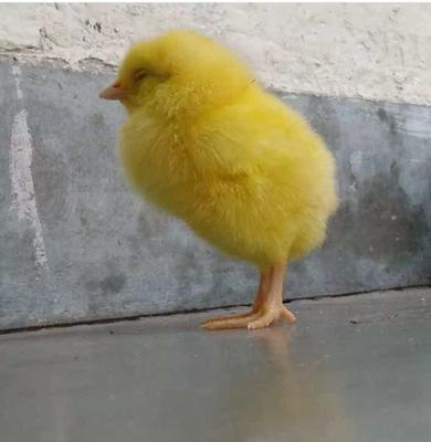 His first pic His first pic