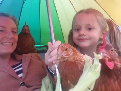 Little Layla Little Layla