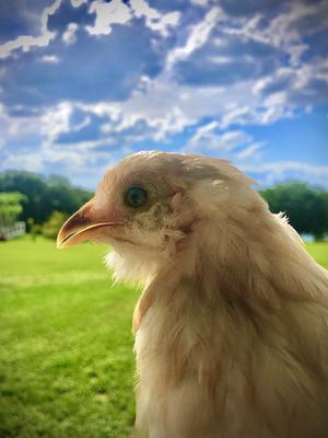 My sweet baby being pretty 🌻💔 My sweet baby being pretty 🌻💔