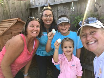 Our first Eggs from the Breakfast Club. Our first Eggs from the Breakfast Club.