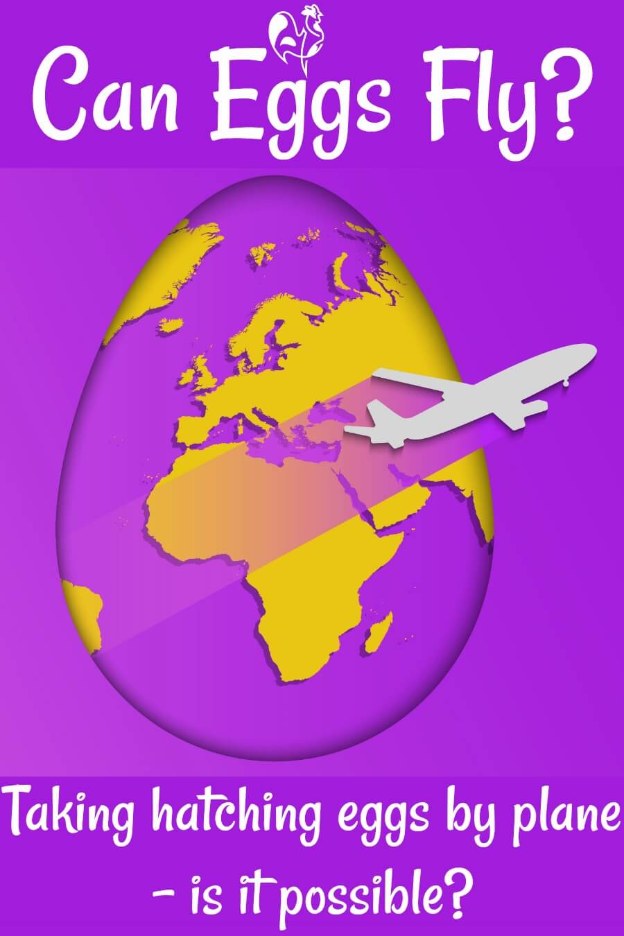 Transporting fertile chicken eggs by plane is it possible?