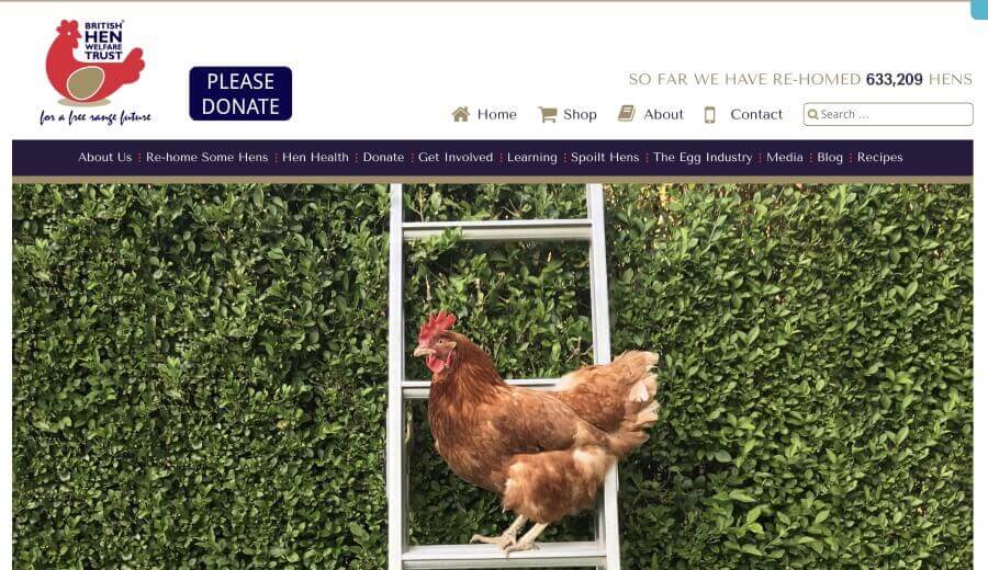 British Hen Welfare Trust - I make a monthly donation. British Hen Welfare Trust.