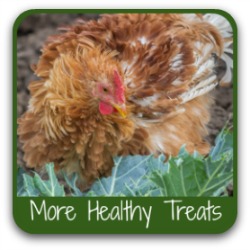 Healthy treats for your flock. More healthy treats - link.