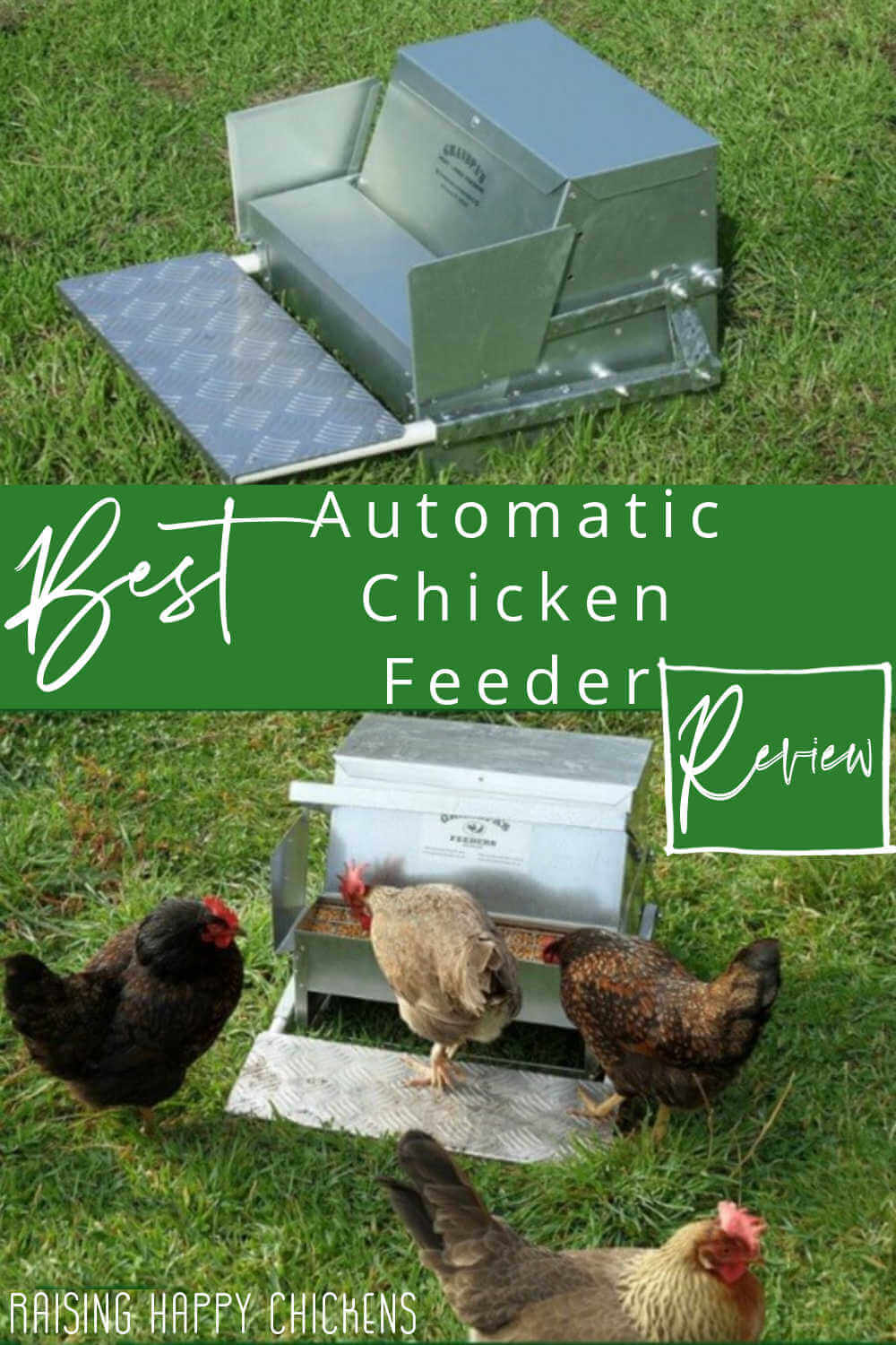 nikkel Volwassen houder A review of the best automatic chicken feeder on the market.