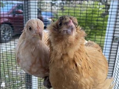 Baby with her best friend Stevhen