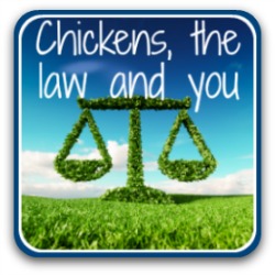 Backyard chickens and the law - link.