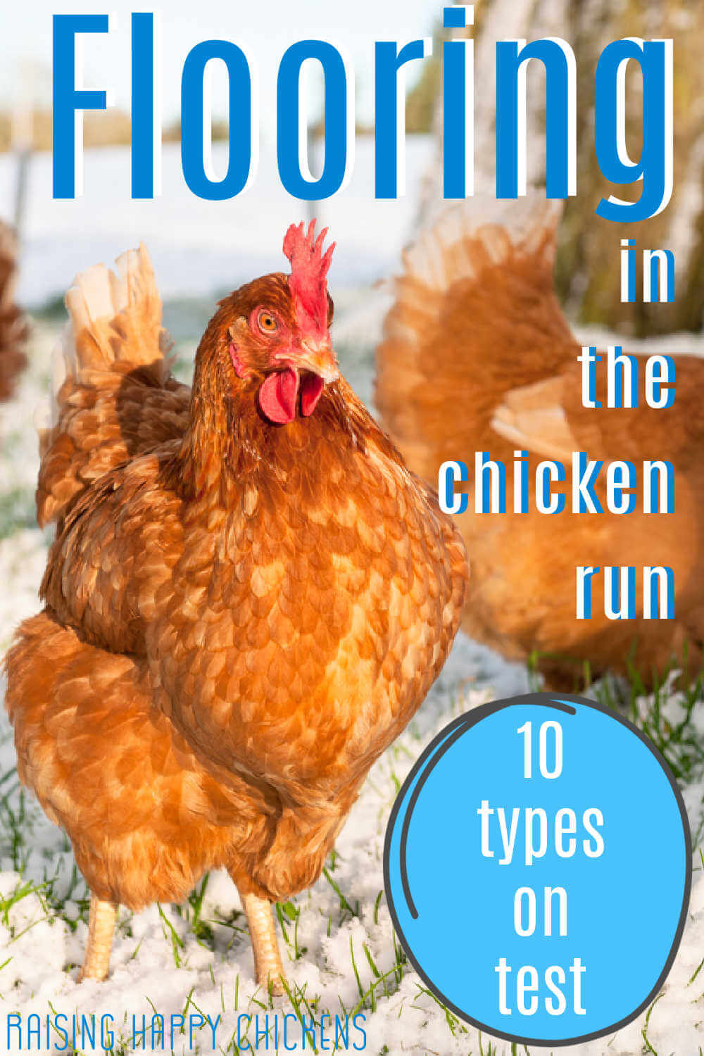 https://www.raising-happy-chickens.com/images/best-flooring-chicken-run.jpeg