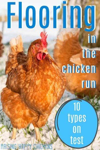 Best flooring for the chicken run: ten on test.