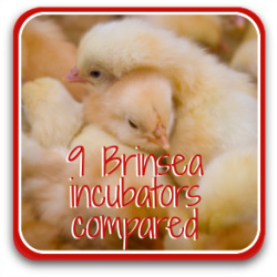 Button link: 9 Brinsea incubators compared: features, automation, temperature and humidity controls, turning, capacity and cost.