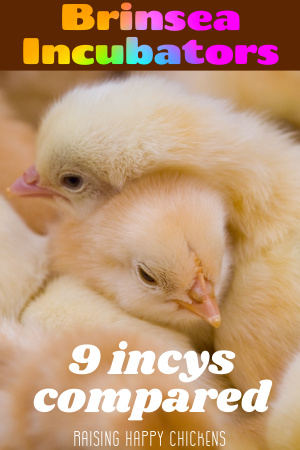 9 Brinsea incubators compared. Pin for later.