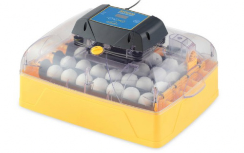 The Brinsea 28 Ovation Advance. Brinsea Ovation 28 egg incubator.