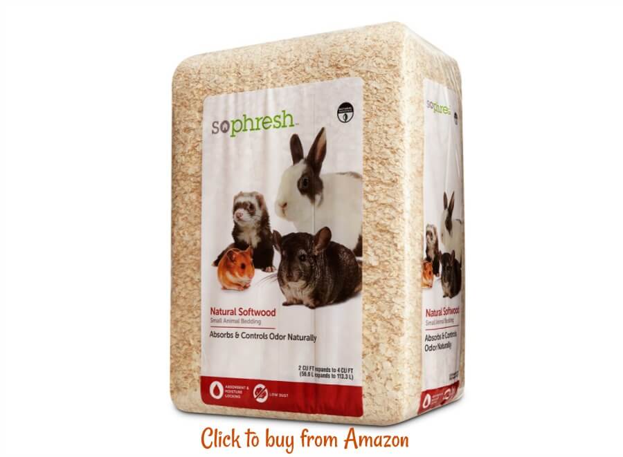 Bedding in the chick brooder 5 alternatives discussed.