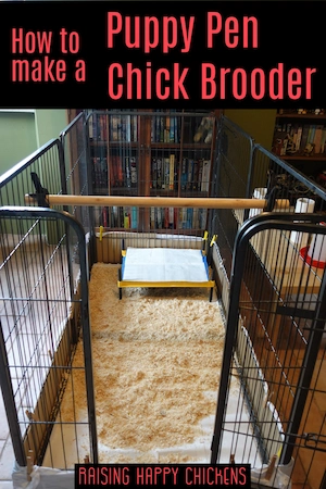 How to make a DIY puppy pen chick brooder: pin for later.