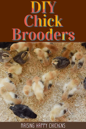 How to make a small chick brooder box.
