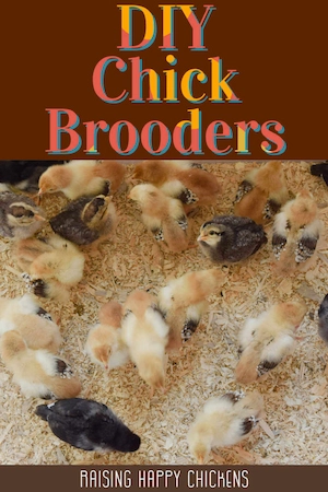 DIY brooders: how to make chick brooders for chicks from hatch to 8 weeks old. Pin for later.
