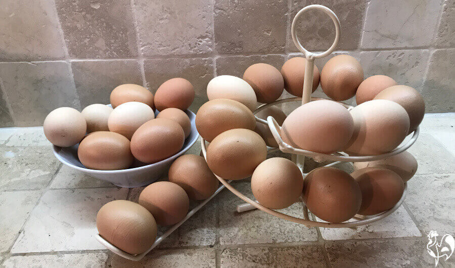 Mijn bruine eieren van mijn Red Star kippen, op mijn eierskelter.