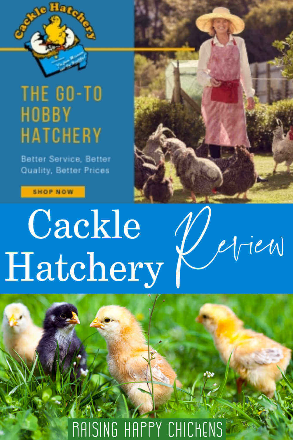 Cackle hatchery review: pin for later.