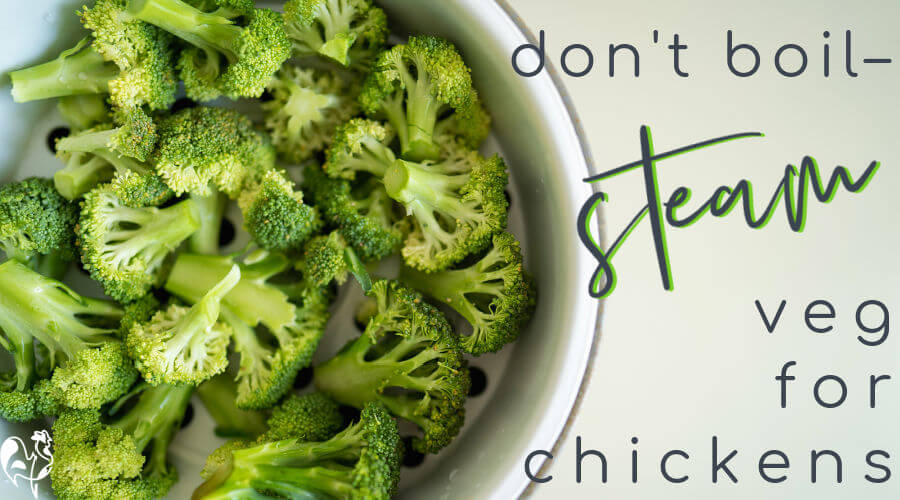 what-vegetables-can-chickens-eat
