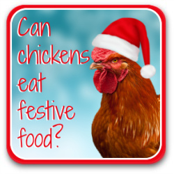 Thumbnail link to can chickens eat nuts and party food?