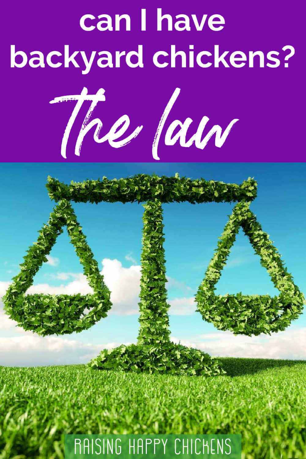 Can I have backyard chickens? Pin for later.