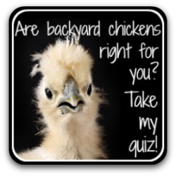 Are chickens right for you? Link - quiz.