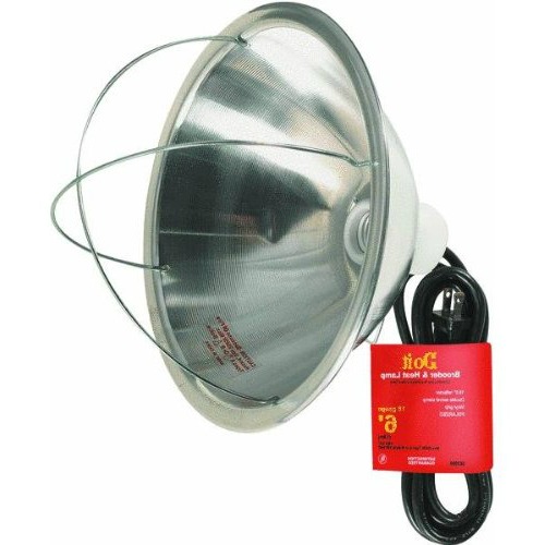 Brooder lamp review Brinsea's large and small EcoGlow, reviewed.