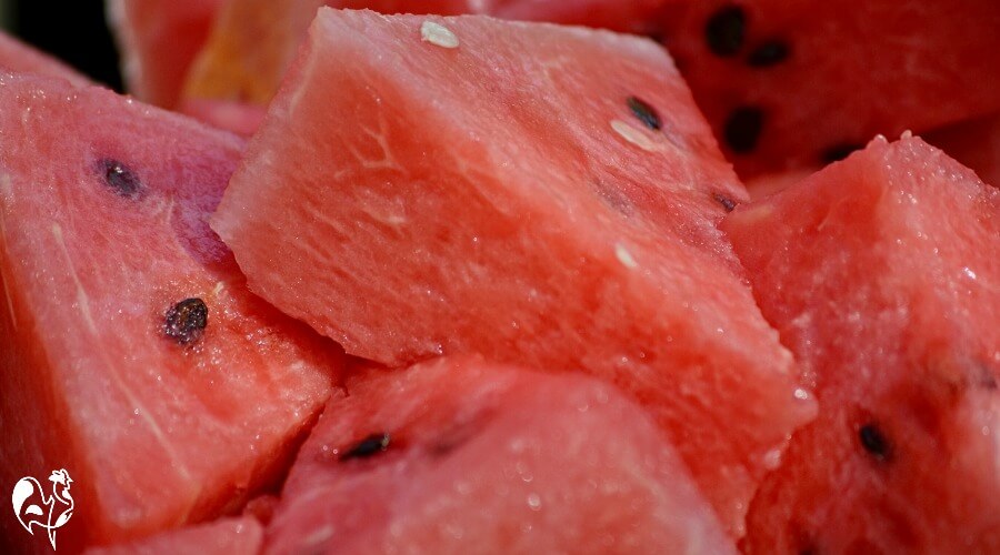 Chunks of fresh watermelon.