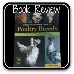 Thumbnail: Storey's guide to poultry breeds - book review.