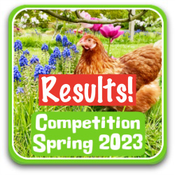 Competition thumbnail winners, Spring 2023. Button link to page.