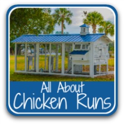 All about chicken runs - link.