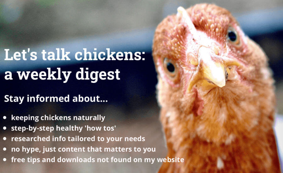 Newsletter page screenshot CK signup Newsletter page screenshot CK signup