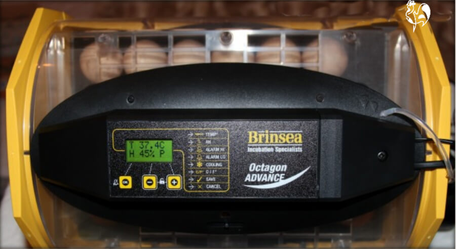 Ten steps to choosing your perfect chicken egg incubator.