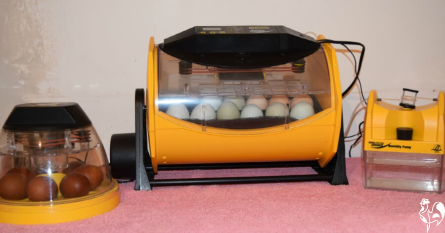 Chicken egg incubator turning
