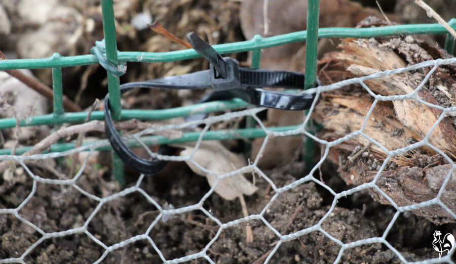 Fencing a chicken run: what's best and how should it be built?