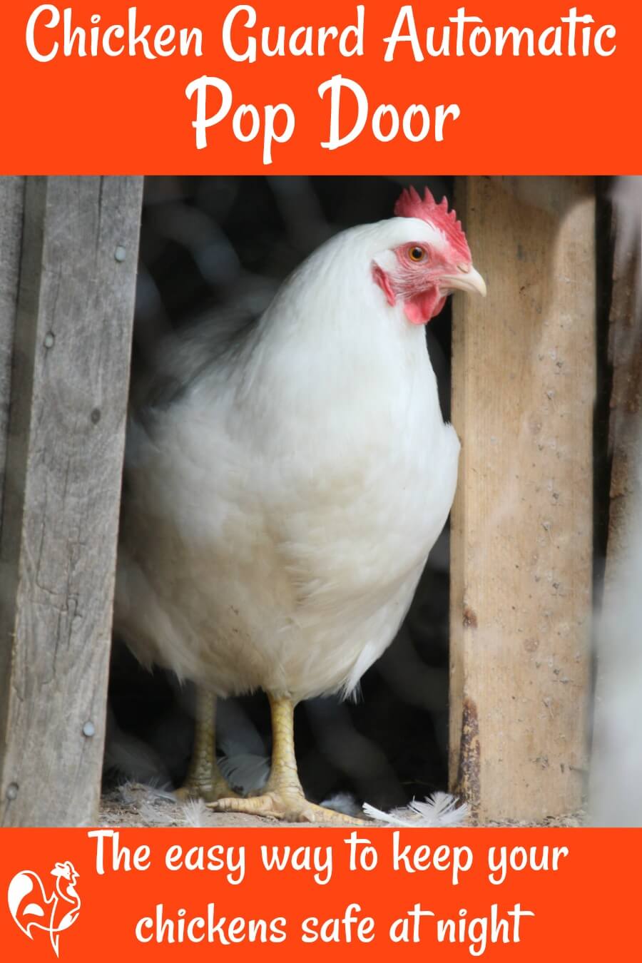 Chicken Guard coop pop door review - pin for later.