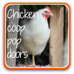 Review of an automatic chicken coop pop doors - link.