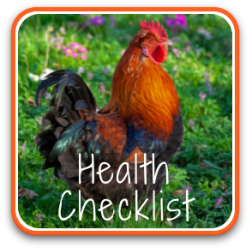 How to do a comprehensive health check for your chickens - link.