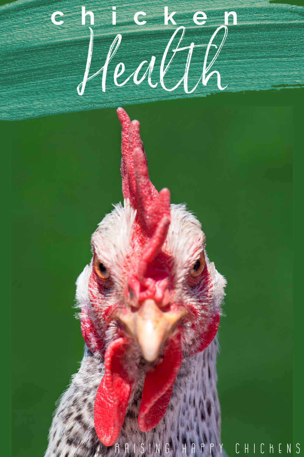 All about keeping your chickens healthy - pin for later.