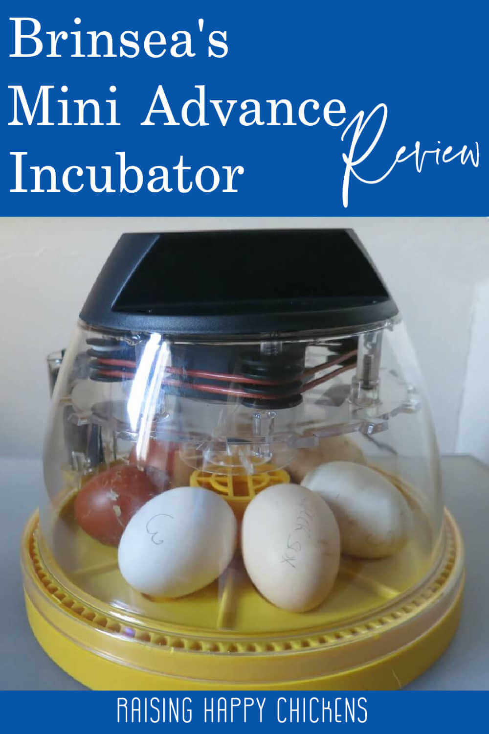 Brinsea's smallest chicken incubator ideal for firsttime hatching!