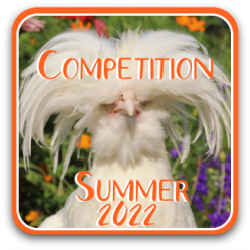 Thumbnail link to my competition results from summer 2022.