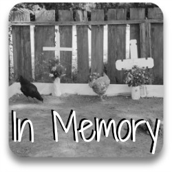 In memory thumbnail