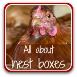 All about nest boxes - link.