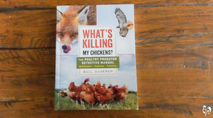 Chicken predators manual: the book sitting on a wooden table.