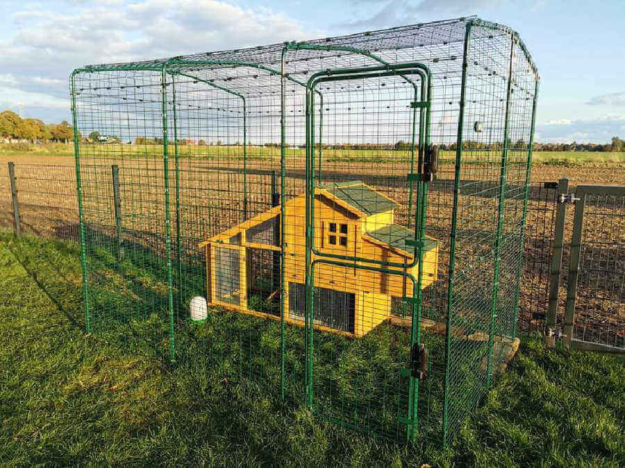 An Omlet walk in run with a stand-alone wooden coop inside.