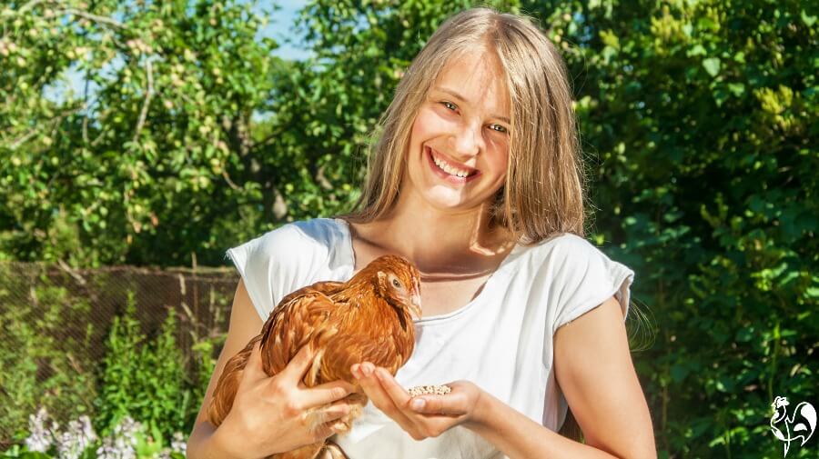 Caring for chickens when you're on vacation: 7 simple steps.