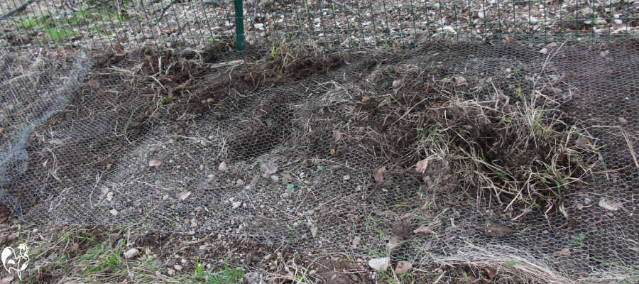 The mesh "skirt", back-covered by soil and grass.